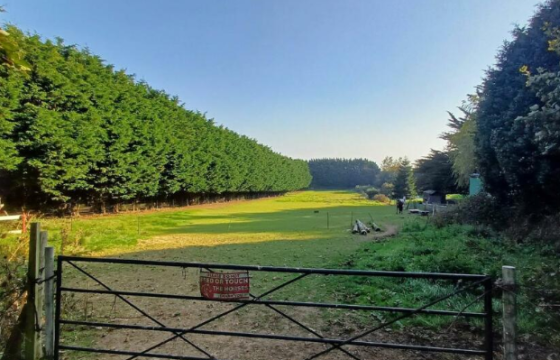 DEVELOPMENT Plot in Peacehaven photo